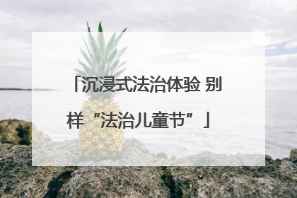 沉浸式法治体验 别样“法治儿童节”